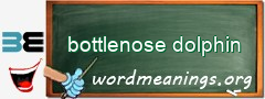 WordMeaning blackboard for bottlenose dolphin